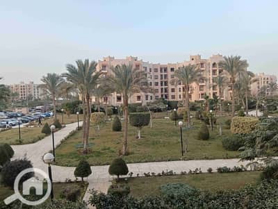 فلیٹ 2 غرفة نوم للايجار في القاهرة الجديدة، القاهرة - 329856. jpg