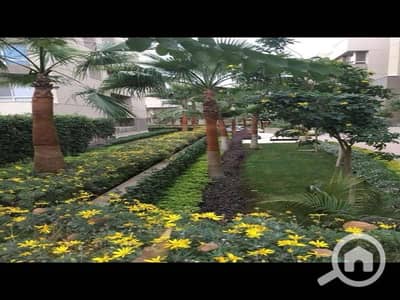 3 Bedroom Flat for Sale in New Cairo, Cairo - WhatsApp Image 2026-01-22 at 6.49. 32 AM. jpg 3 Bedroom Flat for Sale in New Cairo, Cairo - WhatsApp Image 2026-01-22 at 6.49. 32 AM. jpg