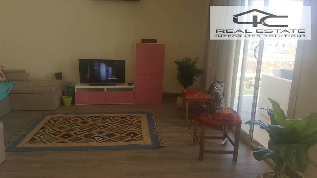 3 WhatsApp Image 2026-01-26 at 4.32. 36 PM (1). jpeg