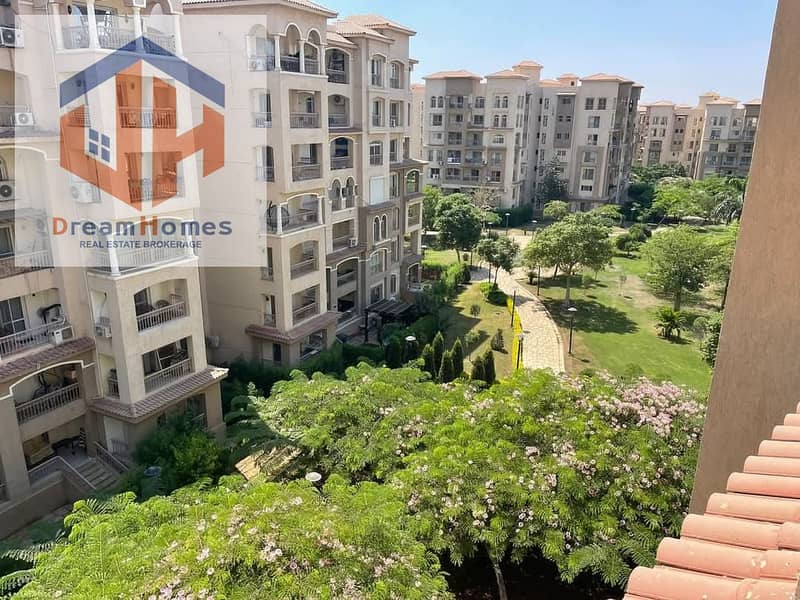 11 472615006_122118533120420030_6908136056507640230_n. jpg