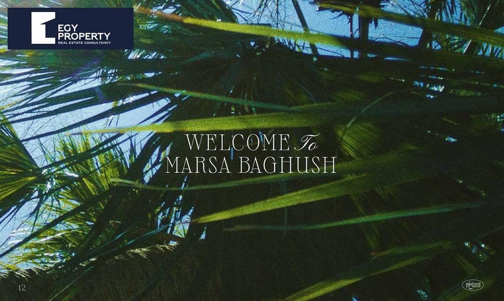 9 Screenshot (42). png