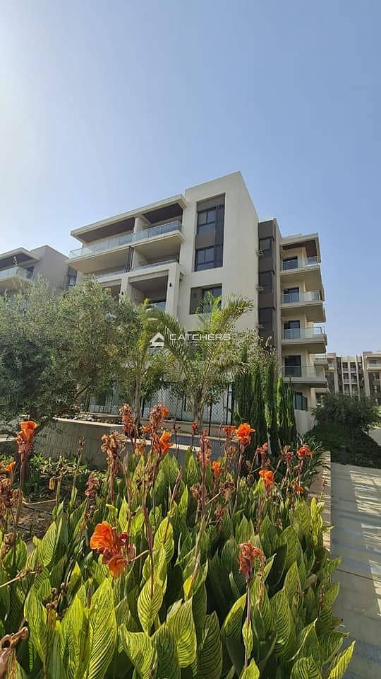 4 432142059_7265577116830522_2704474315209057387_n. jpg