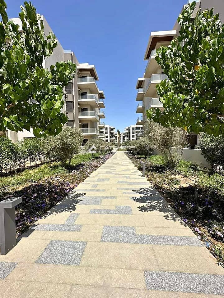 6 452751123_10228864079719185_2031307760213393082_n. jpg