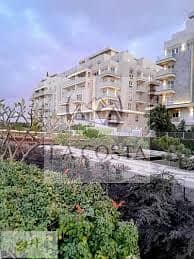 11 download (1). jpg