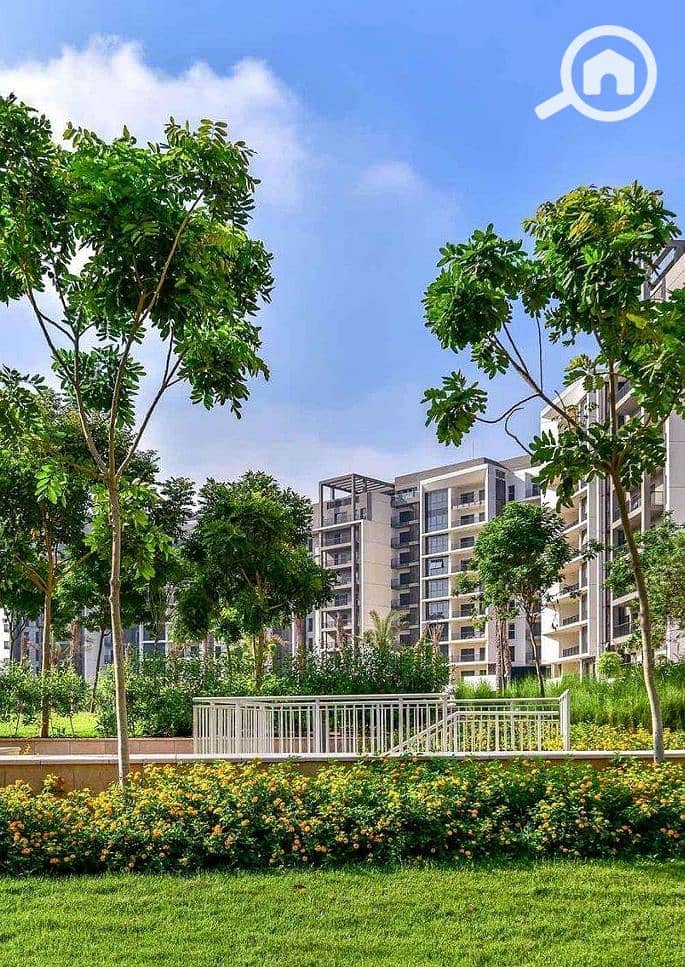 15 Screenshot_12-1-2026_17209_. jpeg