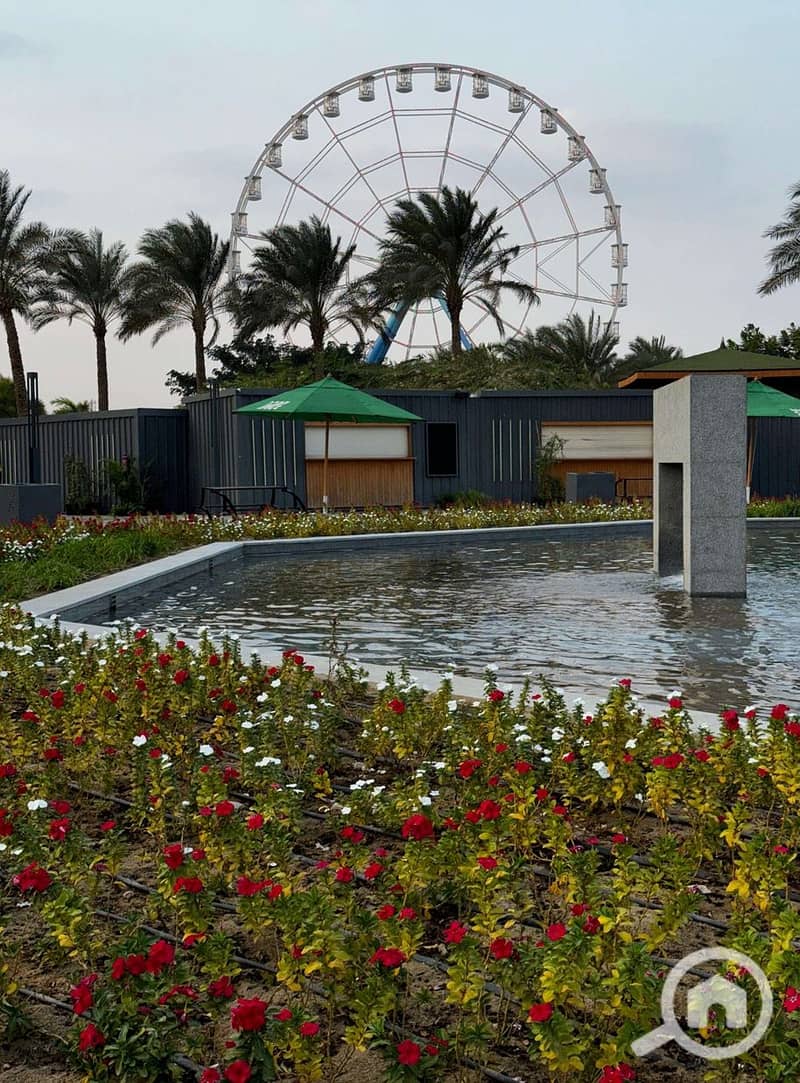 19 Screenshot_12-1-2026_171320_. jpeg