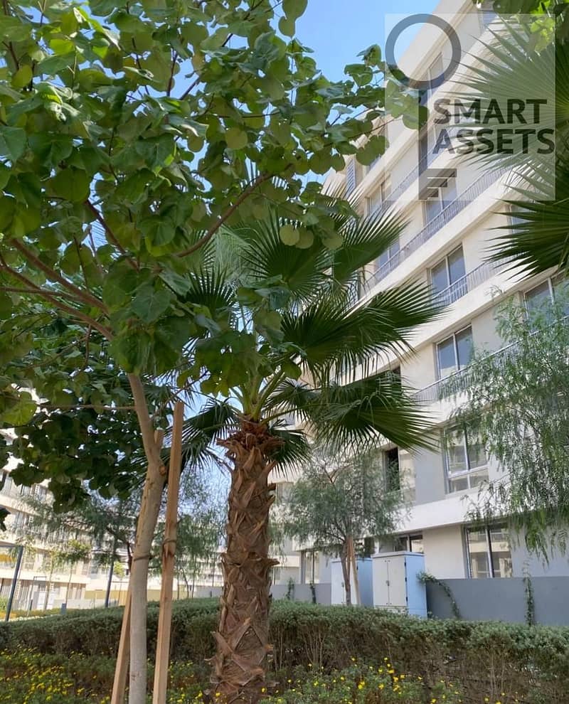 10 WhatsApp Image 2026-01-26 at 6.39. 35 PM (1). jpeg