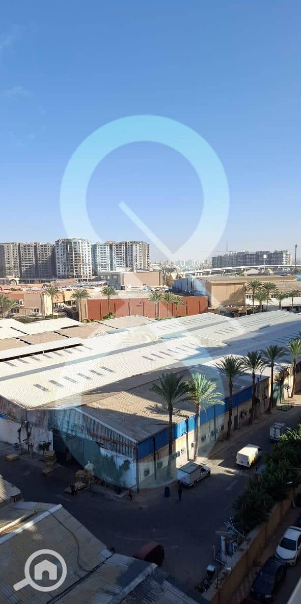 5 Smouha 8627 2. jpg