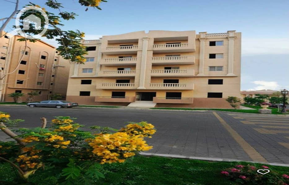 9 482322904_122249758178022208_6506667064245698345_n. jpg