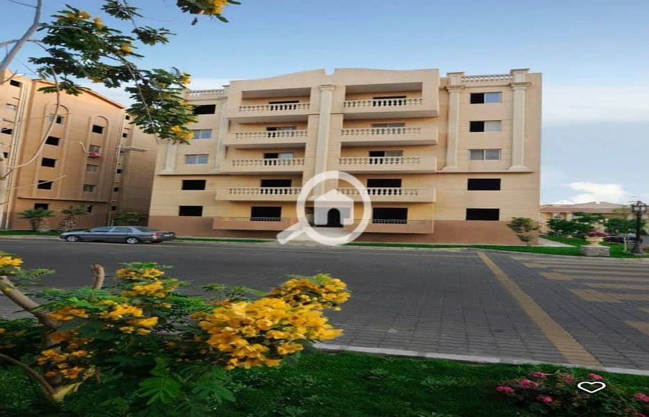 8 482322904_122249758178022208_6506667064245698345_n. jpg