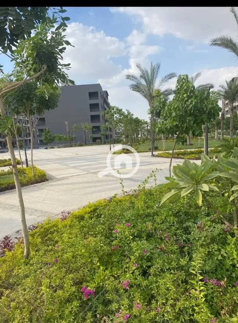 7 507645338_4102666413389666_542677945750955832_n. jpg