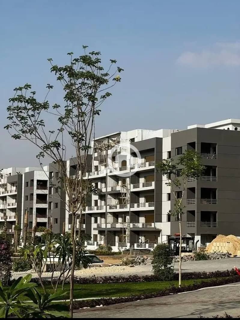 3 506403778_4102666330056341_2335366757042562844_n. jpg