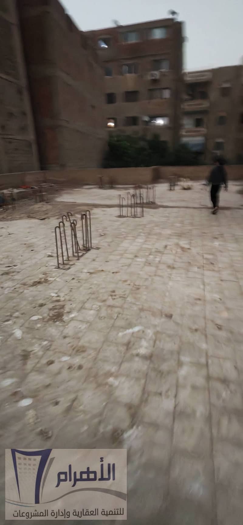 13 623395561_1196792539265612_6002103301420829561_n. jpg