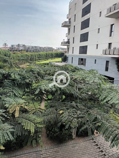 شقة 3 غرف نوم للايجار في القاهرة الجديدة، القاهرة - WhatsApp Image 2026-01-24 at 8.08. 59 PM (2). jpeg