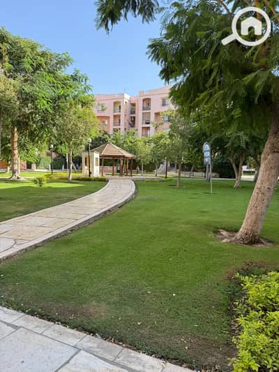 فلیٹ 3 غرف نوم للايجار في القاهرة الجديدة، القاهرة - WhatsApp Image 2026-01-26 at 7.38. 32 PM (1). jpeg