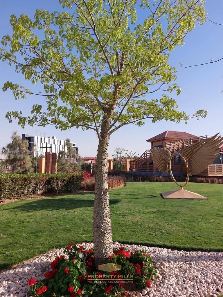 11 0ed73a81-4e13-43af-9fe4-dc88c483c6ad. JPG