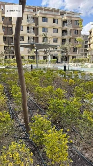 11 ec686481-d058-45bf-be21-d3354e675f25. jfif. jpg