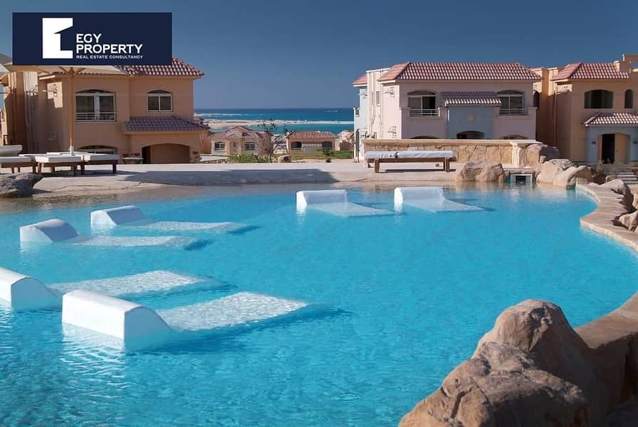 4 bfa74884-fb68-43d9-8491-be3f97331ff4. jpg