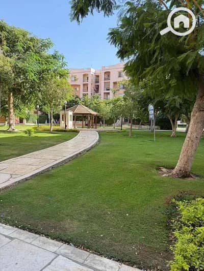 فلیٹ 3 غرف نوم للايجار في القاهرة الجديدة، القاهرة - IMG_9835. jpg