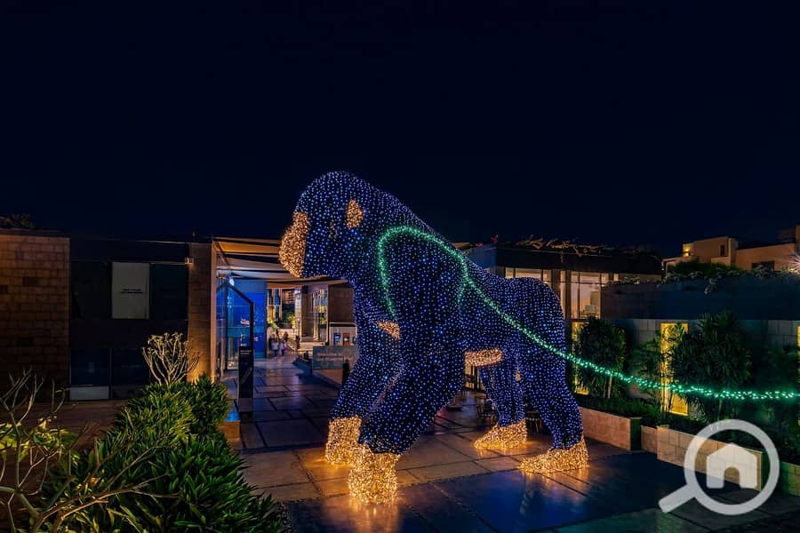 3 WhatsApp Image 2022-11-03 at 8.43. 53 PM. jpeg