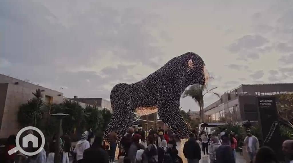 9 WhatsApp Image 2022-11-03 at 8.48. 17 PM. jpeg