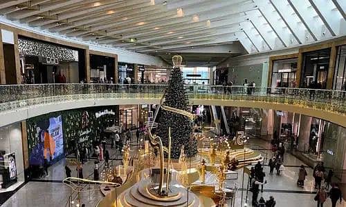 11 WhatsApp Image 2026-01-15 at 5.47. 57 PM (2). jpeg