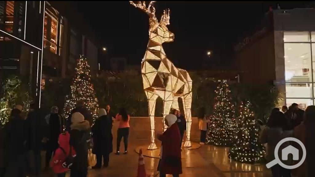 6 WhatsApp Image 2022-11-03 at 8.48. 18 PM (2). jpeg