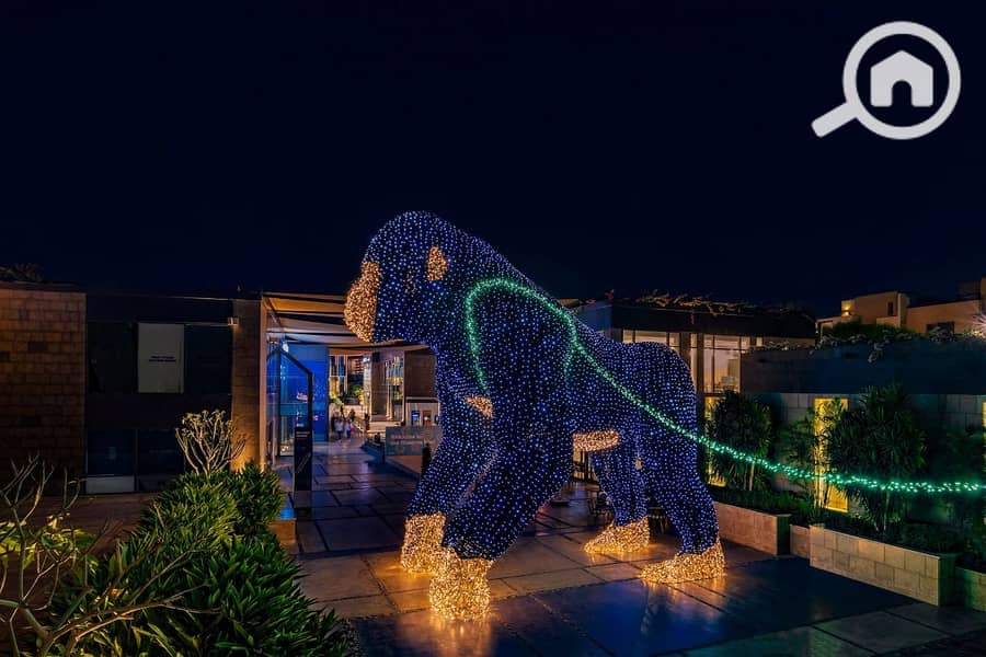 8 WhatsApp Image 2022-11-03 at 8.43. 53 PM. jpeg