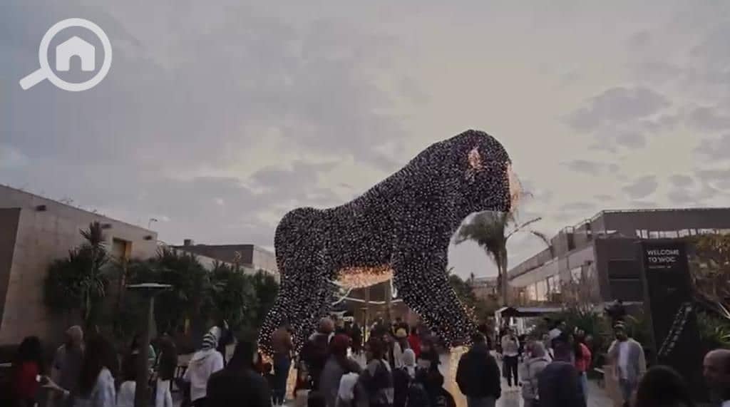 9 WhatsApp Image 2022-11-03 at 8.48. 17 PM. jpeg