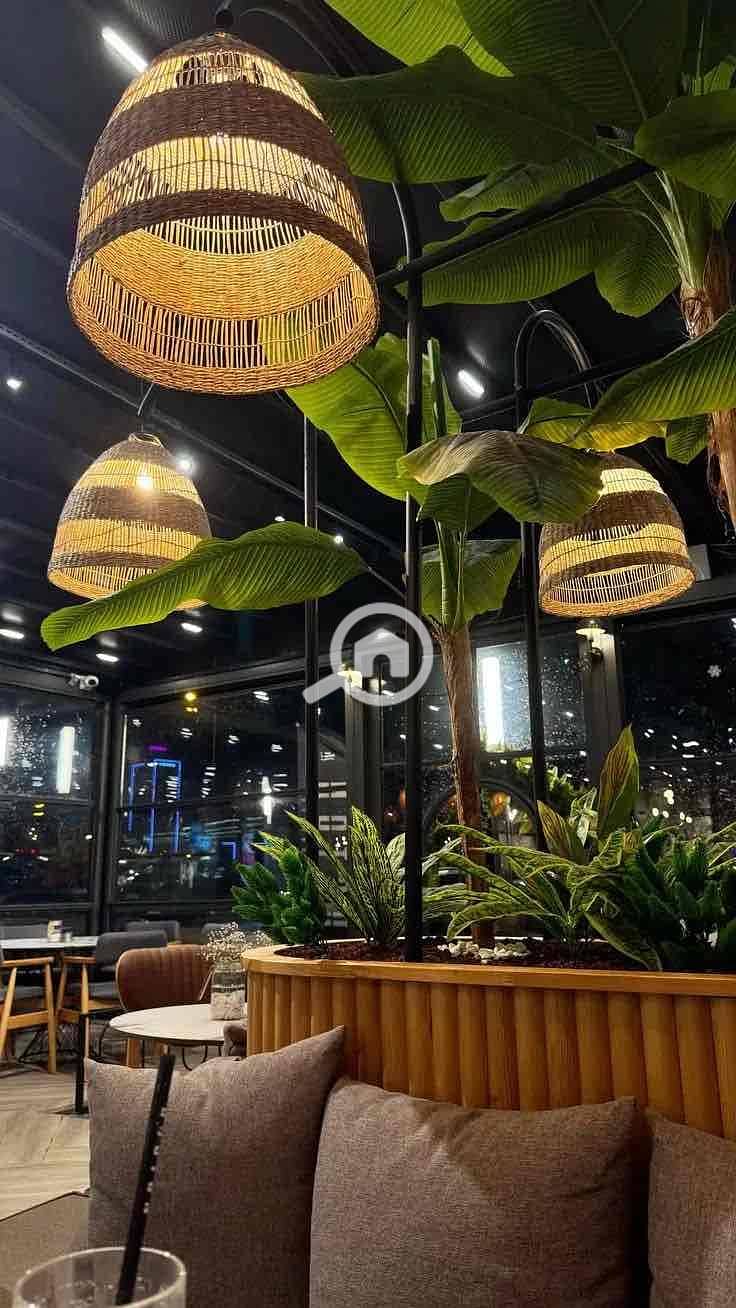 3 dde974f310de20710e8c4d58d677f267. jpg