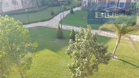 فلیٹ 3 غرف نوم للايجار في مدينتي، القاهرة - IMG_2234. jpg