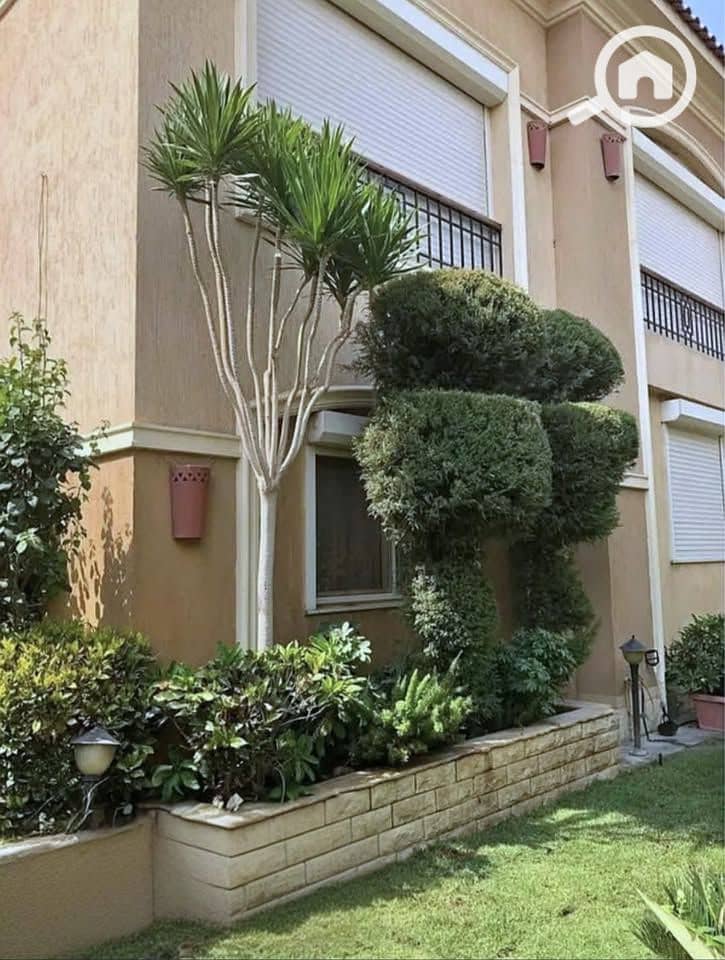 2 506051348_2222955341491781_1732043205123400314_n. jpg