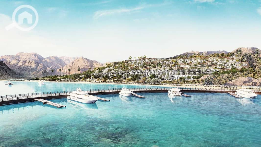 4 vkmdKa69budvXAgAkusG. jpg