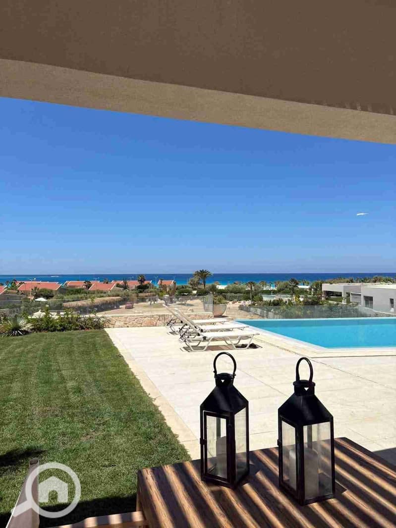 1000114351. jpg 1000114351. jpg