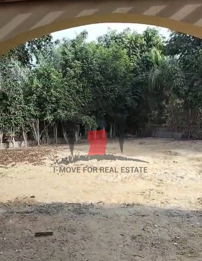 7 WhatsApp Image 2026-01-26 at 22.27. 39. jpeg