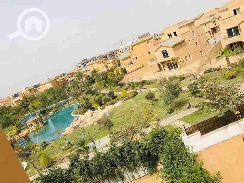 2 unnamed (14). webp