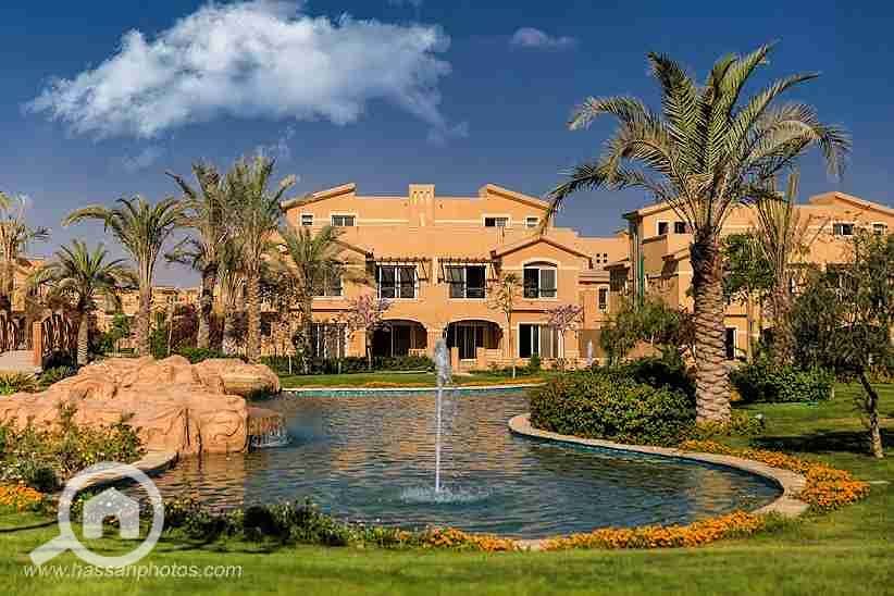 3 unnamed (10). webp