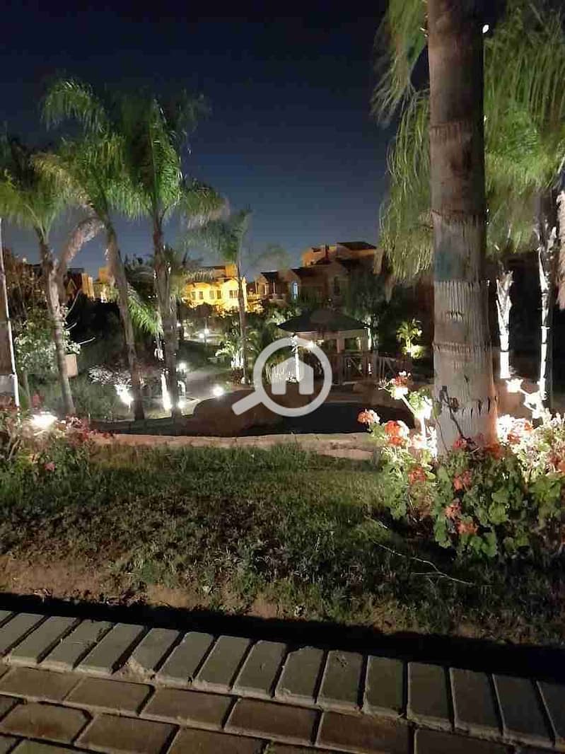 5 unnamed (12). webp