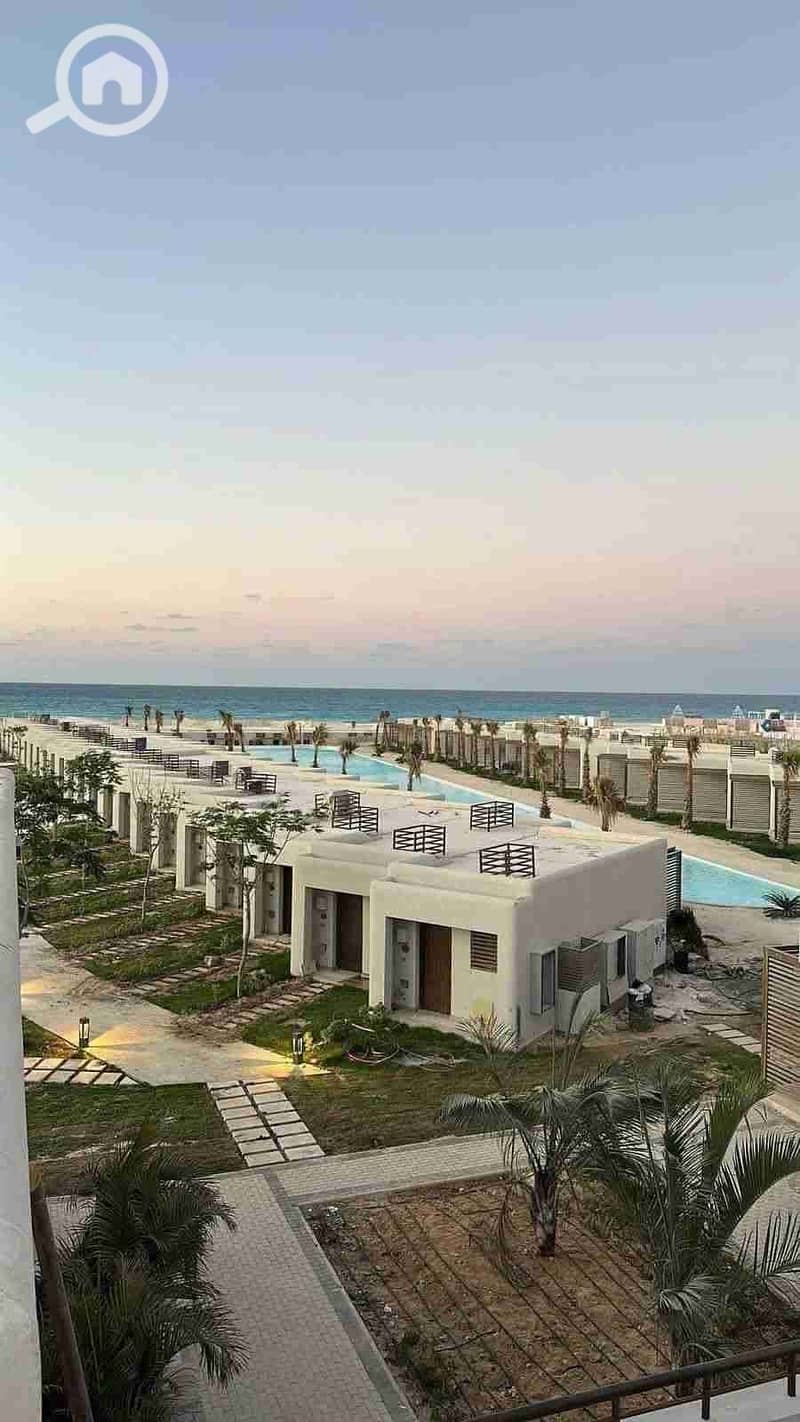 1000376866. jpg 1000376866. jpg