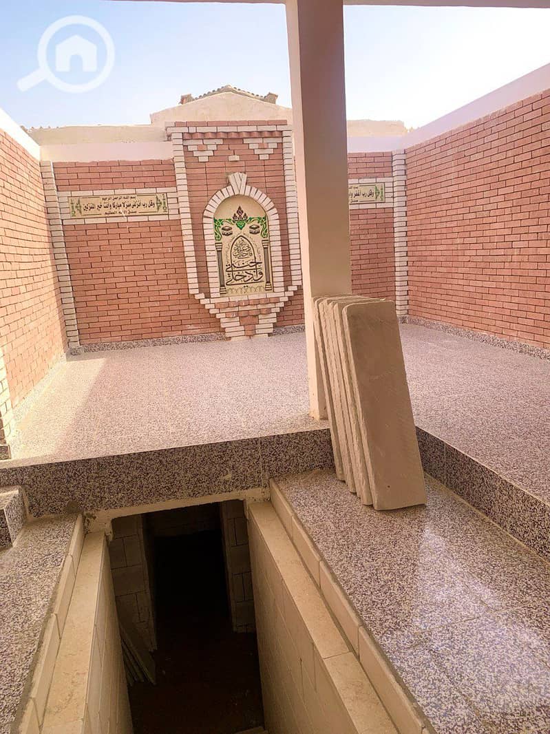 3 photo_2026-01-24_01-14-35. jpg