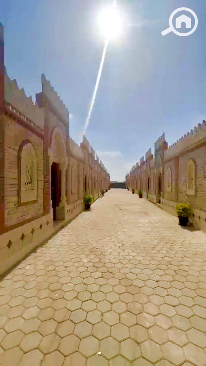 7 photo_2026-01-26_21-33-11. jpg