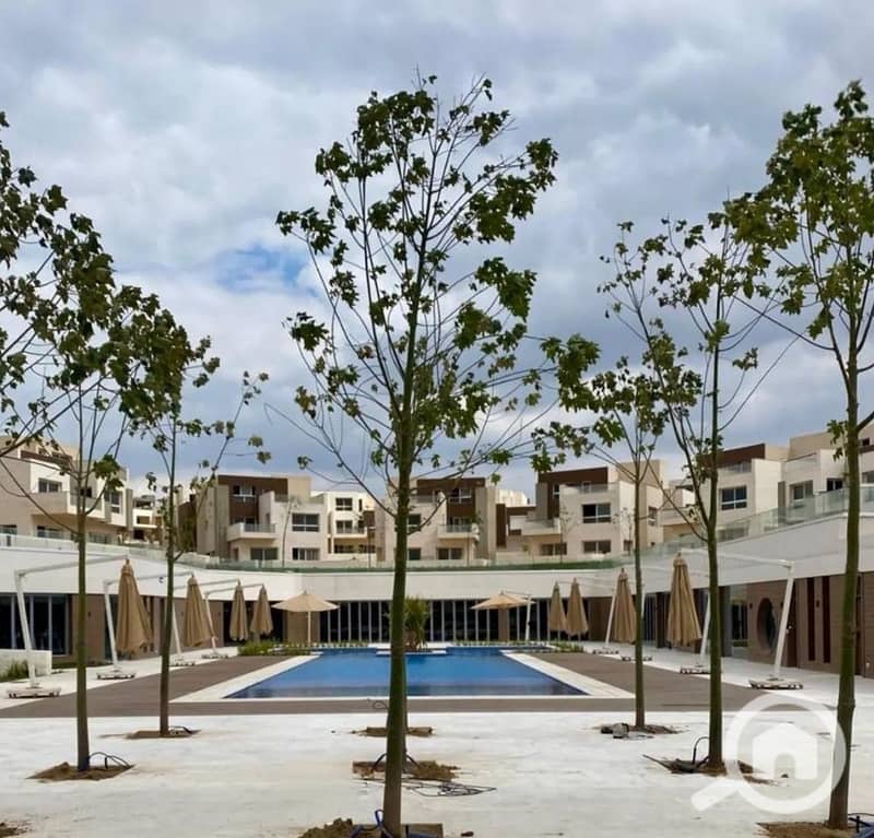 2 IMG_٢٠٢٥١٢١٠_١٧٠٨١٣_edit_482982973095005. jpg