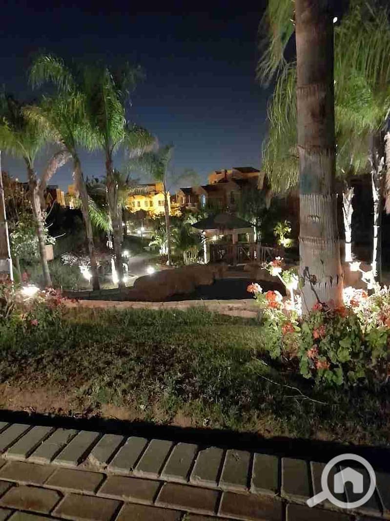 3 unnamed (12). webp