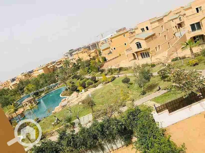 7 unnamed (14). webp