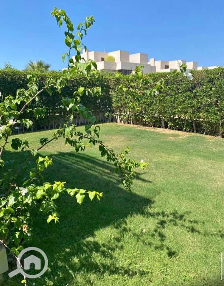 4 569539333_1547960693045597_4064619640650246766_n. jpg