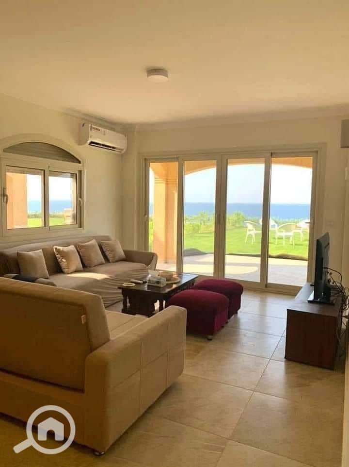 8 440398139_3618535578405987_861351437460366678_n. jpg