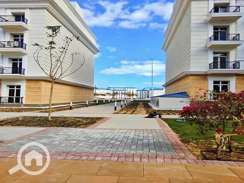 7 364766165_253220284189594_3511425306428883716_n. jpg