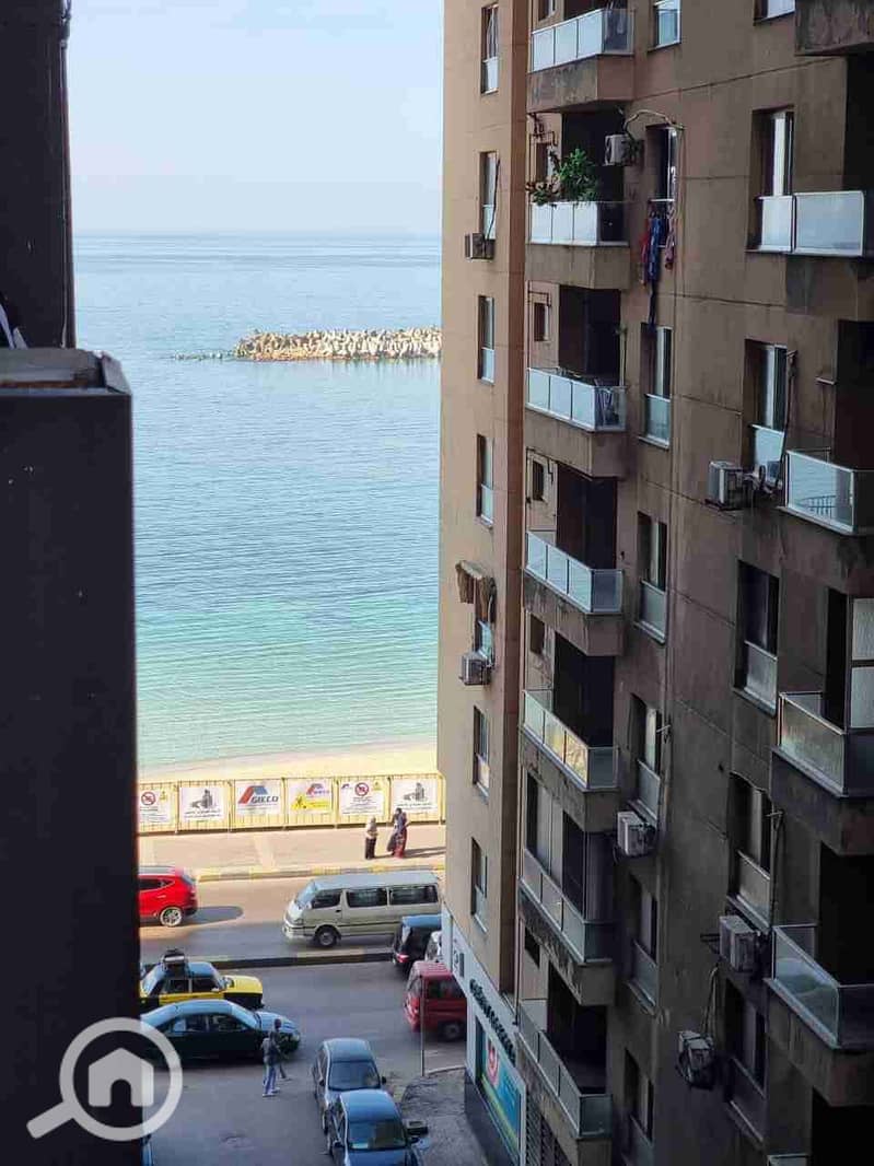 1000207065. jpg 1000207065. jpg