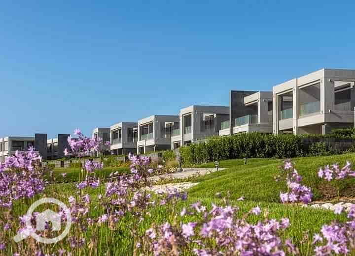 6 32f7ea49-8636-4c0e-877b-cf64a54d06c1. jpg