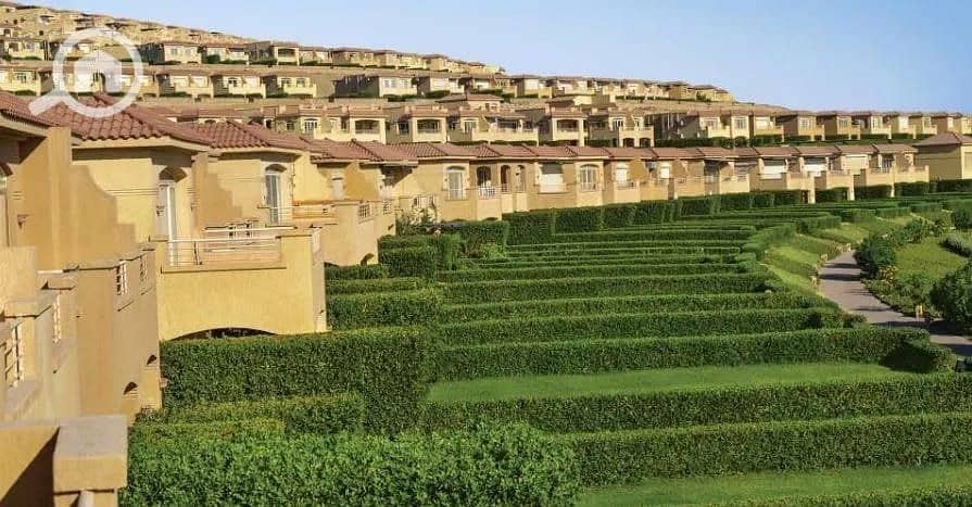 9 579950172_693972120018753_2613771769290358293_n. jpg